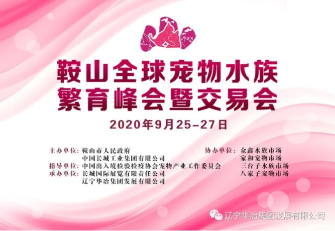 888.BY���Ź���