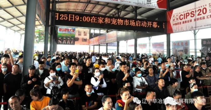 888.BY���Ź���