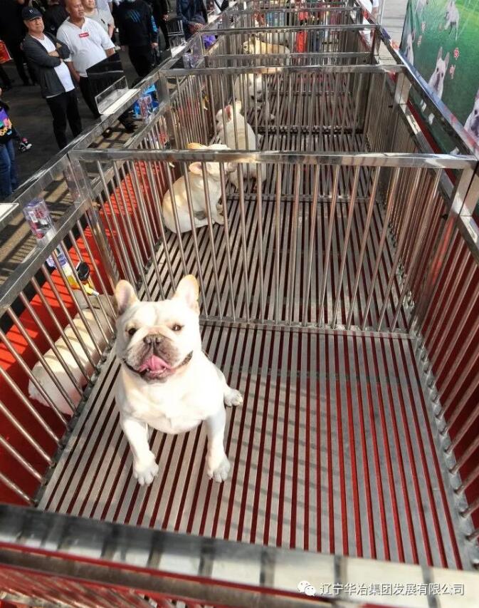 888.BY���Ź���