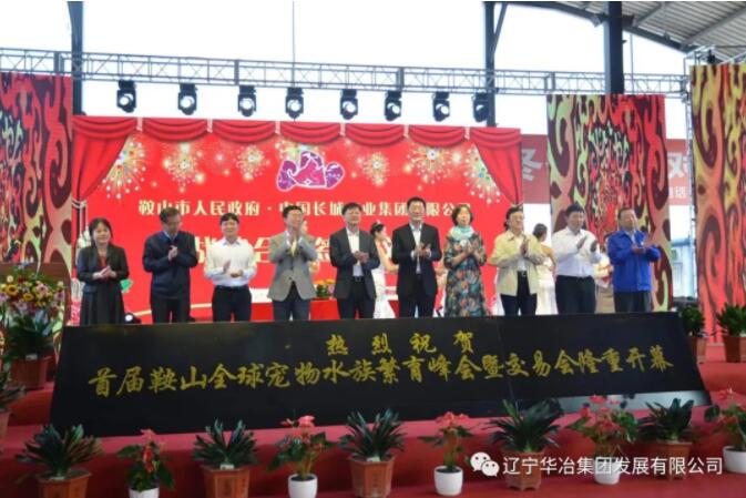 888.BY���Ź���